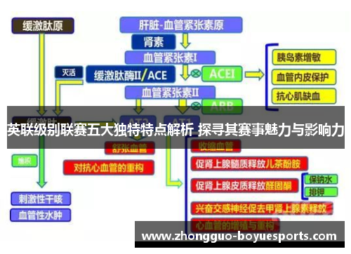 英联级别联赛五大独特特点解析 探寻其赛事魅力与影响力 英联级别联赛五大独特特点解析 探寻其赛事魅力与影响力