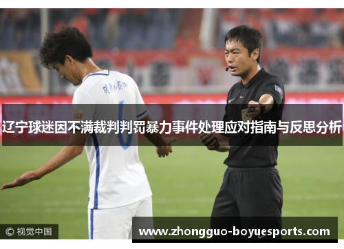 辽宁球迷因不满裁判判罚暴力事件处理应对指南与反思分析 辽宁球迷因不满裁判判罚暴力事件处理应对指南与反思分析