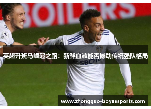 英超升班马崛起之路:新鲜血液能否撼动传统强队格局 英超升班马崛起之路:新鲜血液能否撼动传统强队格局