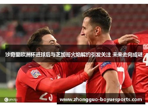 沙奇里欧洲杯进球后与芝加哥火焰解约引发关注 未来去向成谜