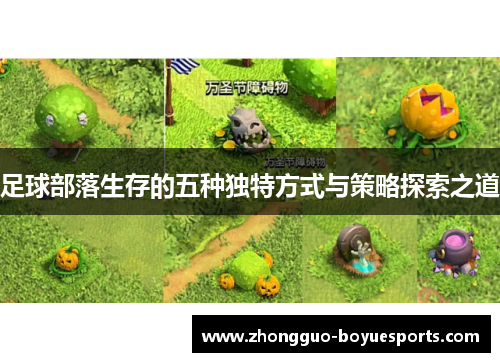 足球部落生存的五种独特方式与策略探索之道